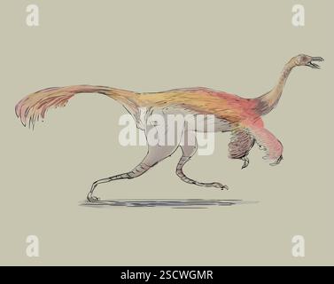 Gallimimus ou « mimique du poulet » est un genre de dinosaure théropode de la fin du Crétacé. C'est le plus grand ornithomimide connu ; avec une longueur allant jusqu'à 6 mètres (20 pieds) et une hauteur de 1,9 mètres (6 pieds 3 pouces). Il pesait environ 400-490 kilogrammes (880-1,080 lb) et avait probablement des plumes. Banque D'Images