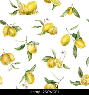 Aquarelle Seamless Pattern avec illustration de citrons entiers et demi avec des fleurs roses. Imprimé peint à la main avec branche d'agrumes avec des feuilles vertes sur Banque D'Images