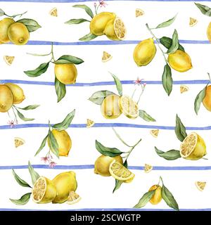 Aquarelle Seamless Pattern avec illustration de citrons entiers et demi avec des fleurs roses sur fond rayé bleu. Imprimé peint à la main avec des agrumes Banque D'Images