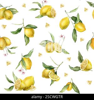 Aquarelle Seamless Pattern avec illustration de citrons entiers et demi avec des fleurs roses. Imprimé peint à la main avec branche d'agrumes avec des feuilles vertes sur Banque D'Images