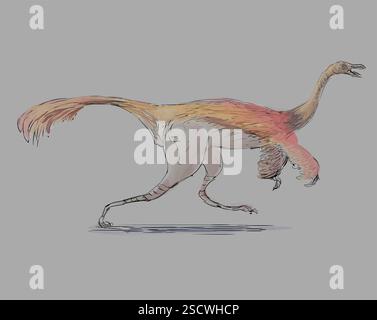 Gallimimus ou « mimique du poulet » est un genre de dinosaure théropode de la fin du Crétacé. C'est le plus grand ornithomimide connu ; avec une longueur allant jusqu'à 6 mètres (20 pieds) et une hauteur de 1,9 mètres (6 pieds 3 pouces). Il pesait environ 400-490 kilogrammes (880-1,080 lb) et avait probablement des plumes. Banque D'Images