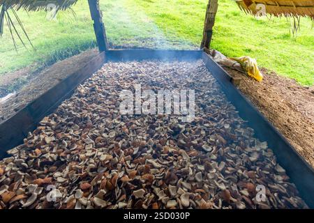 Fabrication de coprah dans la région rurale de Bohol, aux Philippines, où la viande de coco est séchée comme un sous-produit important de l'industrie locale florissante de la noix de coco Banque D'Images