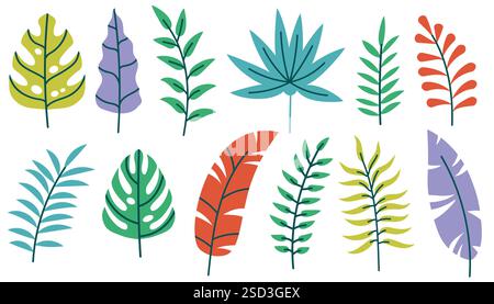 Feuilles tropicales et branches dans un style plat. Collection de feuilles de palmier et de Monstera isolée sur fond blanc. Illustration de Vecteur