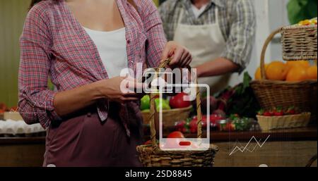 Shopping pour l'épicerie, femme tenant le panier et scannant le produit, image d'analyse de données Banque D'Images