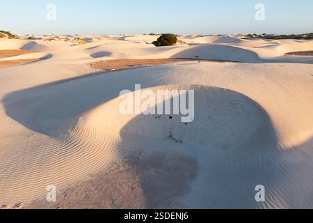 Vue aérienne des motifs et des collines dans les dunes de sable à Yanerbie sur la péninsule d'Eyre en Australie méridionale. Banque D'Images