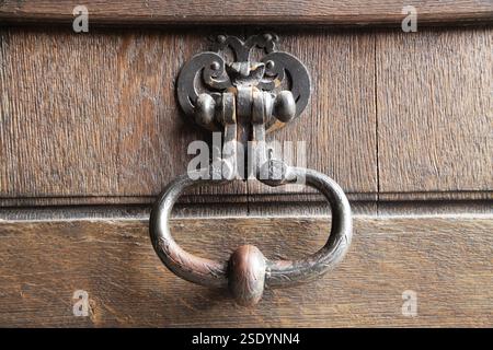 L'accent est mis sur un frappeur de porte vintage méticuleusement conçu, mettant en valeur l'art du château de Chamborg en France. Banque D'Images