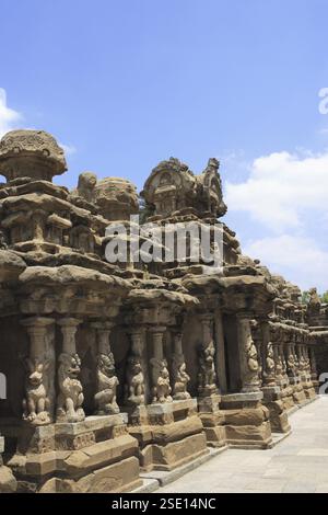 Temple Kailasanatha, architecture du temple dravidien, période Pallava (VIIe - IXe siècle), district Kanchipuram, État Tamil Nadu, Inde, Asie Banque D'Images