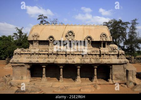 Bhima Ratha et Pancha Rathas sculpté des temples de sculpture sur roche monolithe, Mahabalipuram, District Chengalpattu, Tamil Nadu, Inde site du patrimoine mondial de l'UNESCO Banque D'Images