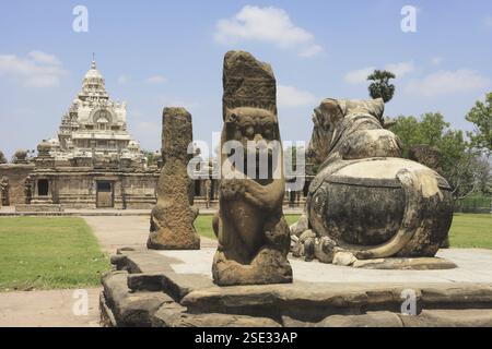 Temple Kailasanatha, architecture du temple dravidien, période Pallava (VIIe - IXe siècle), district Kanchipuram, État Tamil Nadu, Inde, Asie Banque D'Images