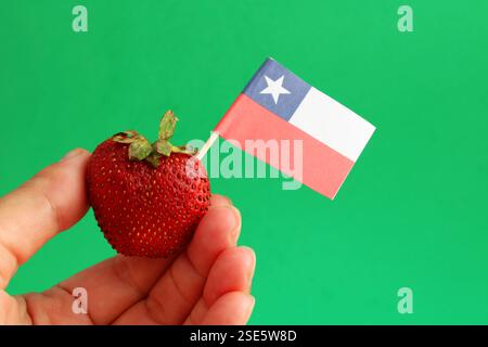 Main tenant une fraise avec le drapeau chilien Banque D'Images