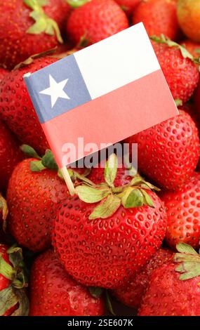 Délicieuses fraises rouges et mûres avec drapeau chilien - format vertical Banque D'Images
