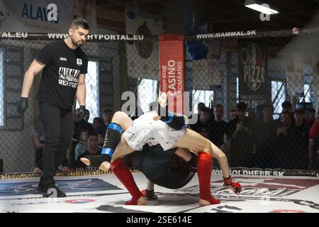 Deux hommes adultes se battent intensément dans l'anneau octogonal à MAMMAL 51 Ligue slovaque MMA à Nitra le 1er février 2025. Banque D'Images