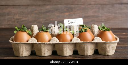 Jeunes plantes en coquilles d'oeuf sur fond en bois Banque D'Images