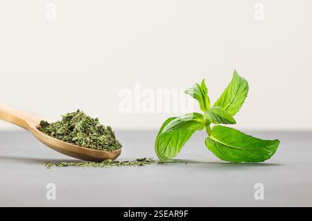 Feuilles de menthe poivrée et feuilles de menthe séchée dans une cuillère en bois sur une table rustique. Concept d'épices sèches Banque D'Images