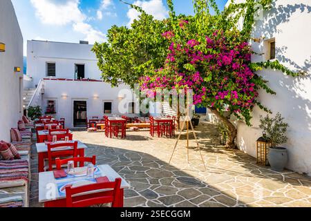 Restaurant typique de taverne grecque avec des chaises rouges et des fleurs de bougainvilliers sur la place dans le village Apollonia, île de Sifnos, Grèce Banque D'Images