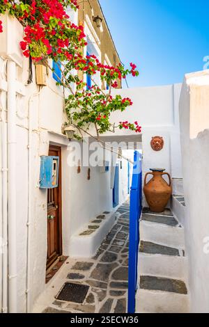 Rue étroite avec des maisons grecques typiques décorées de fleurs dans le village de Kastro, île de Sifnos, Grèce Banque D'Images