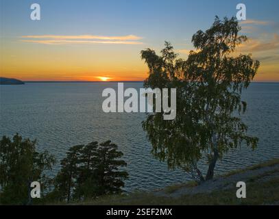 Un bouleau solitaire sur une falaise de la Volga avec un coucher de soleil en arrière-plan Banque D'Images