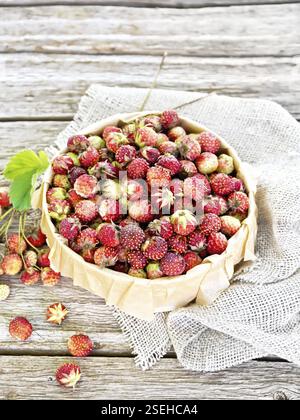 Les fraises mûres sauvages dans une boîte en écorce de bouleau avec le parchemin, de la toile de jute sur l'arrière-plan de planches en bois Banque D'Images