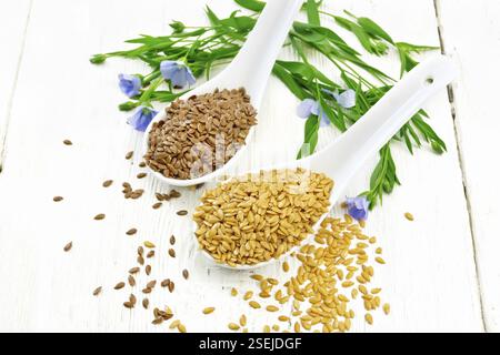 Graines de lin blanches et brunes en deux cuillères, tiges de lin aux fleurs bleues et feuilles sur fond de bois Banque D'Images