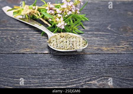 Le thym sec dans une cuillère en métal, une bande d'herbes fraîches avec des fleurs sur l'arrière-plan d'une planche en bois noir Banque D'Images