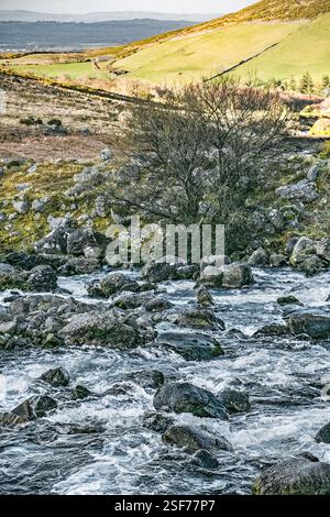 L'eau qui se déplace rapidement coule sur des roches sombres dans un ruisseau. Un petit arbre manquant de feuilles se trouve près de la rive. La terre monte doucement en collines. Banque D'Images