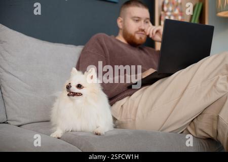 Homme assis sur un canapé avec ordinateur portable, pensant alors que petit chien blanc se reposant à ses côtés, créant une atmosphère plus confortable Banque D'Images