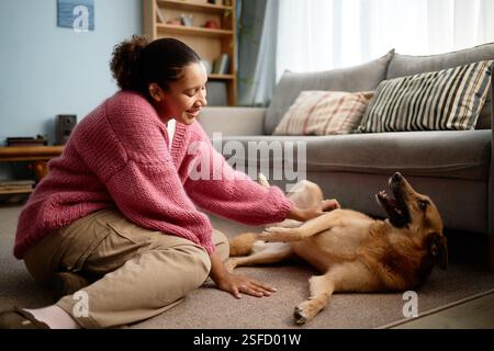 Jeune femme agenouillée sur un tapis tandis que son chien joue joyeusement. Salon confortable avec mobilier moderne et éclairage naturel améliorant l'environnement Banque D'Images