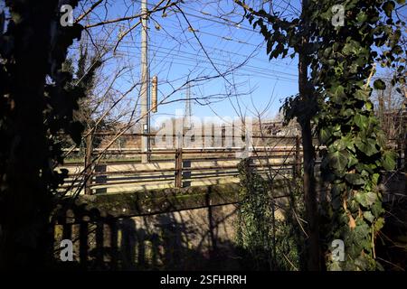 Partie d'un pont de chemin de fer dans un parc par une journée ensoleillée vue à travers les arbres Banque D'Images