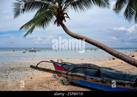 Petit bateau de pêche garé sur la plage à côté d'un cocotier courbé, à Tabuelan, Cebu, Philippines. Banque D'Images