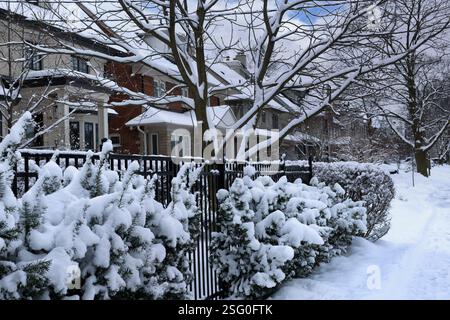 Quartier résidentiel avec des arbustes couverts de neige Banque D'Images
