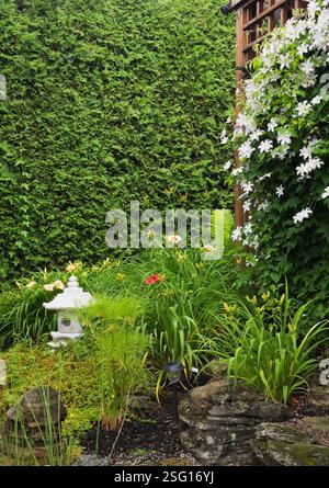 Lanterne pagode japonaise avec Equisetum fluviatile - prêle d'eau, clématite blanche 'Huldine' sur pergola en bois brun bordée par Thuja - haie de cèdres. Banque D'Images
