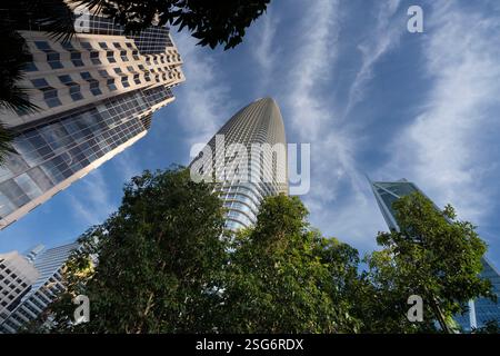 Le bâtiment Salesforce de SF et d'autres gratte-ciel, vus d'en bas, au milieu des arbres, une journée ensoleillée. Banque D'Images