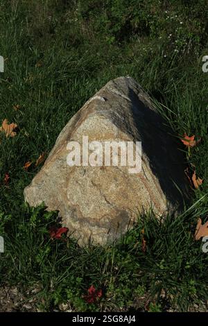 Une roche altérée, debout au milieu d'un tapis vert vibrant d'herbe. Banque D'Images