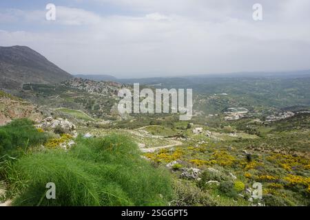 Crète, Grèce : regardant du haut de la montagne avec du fenouil sauvage sur le bord - jour de la Terre - conscience écologique Banque D'Images