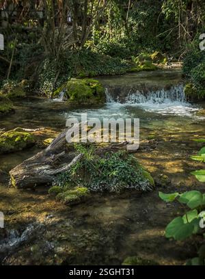 Vrelo, le fleuve le plus court d'Europe, et la belle nature autour de lui Banque D'Images
