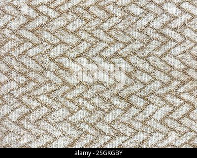 Gros plan du tissu d'ameublement en motif chevron, en couleur marron. Motif chevron en forme de V inversé texture d'arrière-plan transparente. Banque D'Images