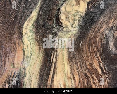 Gros plan de la texture de pierre de marbre dans un motif aléatoire brun, noir et beige. Formation d'un motif de courant. Texture d'arrière-plan transparente. Banque D'Images