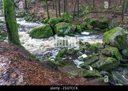 Die Ilse am Heinrich-Heine-Weg BEI Ilsenburg, Saxe-Anhalt, Deutschland | rivière Ilse sur le sentier Heinrich Heine près d'Ilsenburg, Saxe-Anhalt, Ger Banque D'Images
