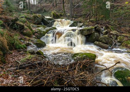 Die Ilse am Heinrich-Heine-Weg BEI Ilsenburg, Saxe-Anhalt, Deutschland | rivière Ilse sur le sentier Heinrich Heine près d'Ilsenburg, Saxe-Anhalt, Ger Banque D'Images