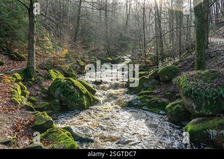 Die Ilse am Heinrich-Heine-Weg BEI Ilsenburg, Saxe-Anhalt, Deutschland | rivière Ilse sur le sentier Heinrich Heine près d'Ilsenburg, Saxe-Anhalt, Ger Banque D'Images