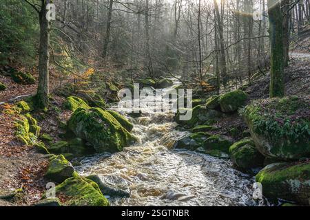 Ilsetal Die Ilse am Heinrich-Heine-Weg BEI Ilsenburg, Saxe-Anhalt, Deutschland rivière Ilse sur le sentier Heinrich Heine près d'Ilsenburg, Saxe-Anhalt Banque D'Images