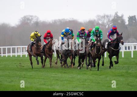 Ascot, Berkshire, Royaume-Uni. 17 février 2024. L’Open National Hunt Flat Race britannique EBF Mares au Betfair Ascot Chase Raceday à l’hippodrome d’Ascot. Crédit : Maureen McLean/Alamy Banque D'Images