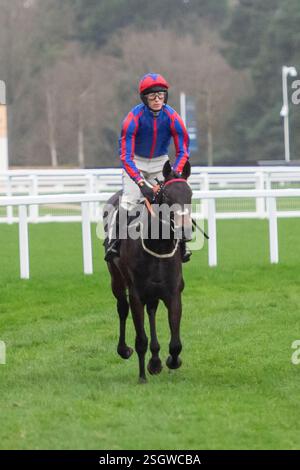 Ascot, Berkshire, Royaume-Uni. 17 février 2024. NALA LA LIONNE montée par le jockey Harry Cobden dans l’Open National Hunt Flat Race britannique EBF Mares au Betfair Ascot Chase Raceday à l’hippodrome d’Ascot. Crédit : Maureen McLean/Alamy Banque D'Images