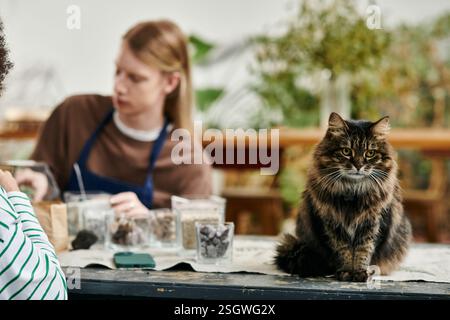 Dans un atelier lumineux, les participants fabriquent des arrangements succulents uniques tout en profitant de l'amitié. Banque D'Images