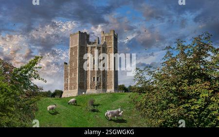 Photo du château d'Orford la tour médiévale du donjon normand construite entre 1165 et 1173 par Henri II d'Angleterre, Orford, Suffolk Angleterre. L'honneur de Eye Banque D'Images