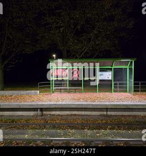 Un arrêt de bus illuminé la nuit, décoré de graffitis antifascistes, entouré de feuilles d'automne éparpillées de Hanovre Banque D'Images