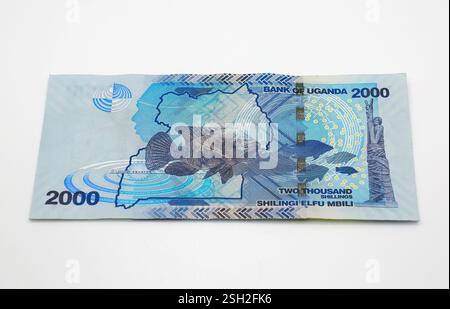 Billet de 2000 shillings, shilling ougandais, UGX, Ouganda, Afrique de l'est Banque D'Images