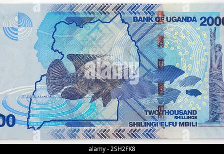 Billet de 2000 shillings, shilling ougandais, UGX, Ouganda, Afrique de l'est Banque D'Images