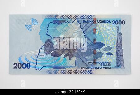 Billet de 2000 shillings, shilling ougandais, UGX, Ouganda, Afrique de l'est Banque D'Images