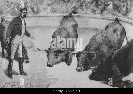 Circo Price. Fondée en 1853 par Thomas Price (1813-1877) et installée à Madrid (Espagne). Le dompteur Enrique Díaz présente ses quatre taureaux entraînés au public. Il joue son premier acte le 18 juillet 1884. Dessin de la vie de Daniel Perea (1834-1909). Gravure de Bernardo Rico (1825-1894). L'illustration espagnole et américaine (la Ilustración Española y Americana), 30 juillet 1884. Banque D'Images